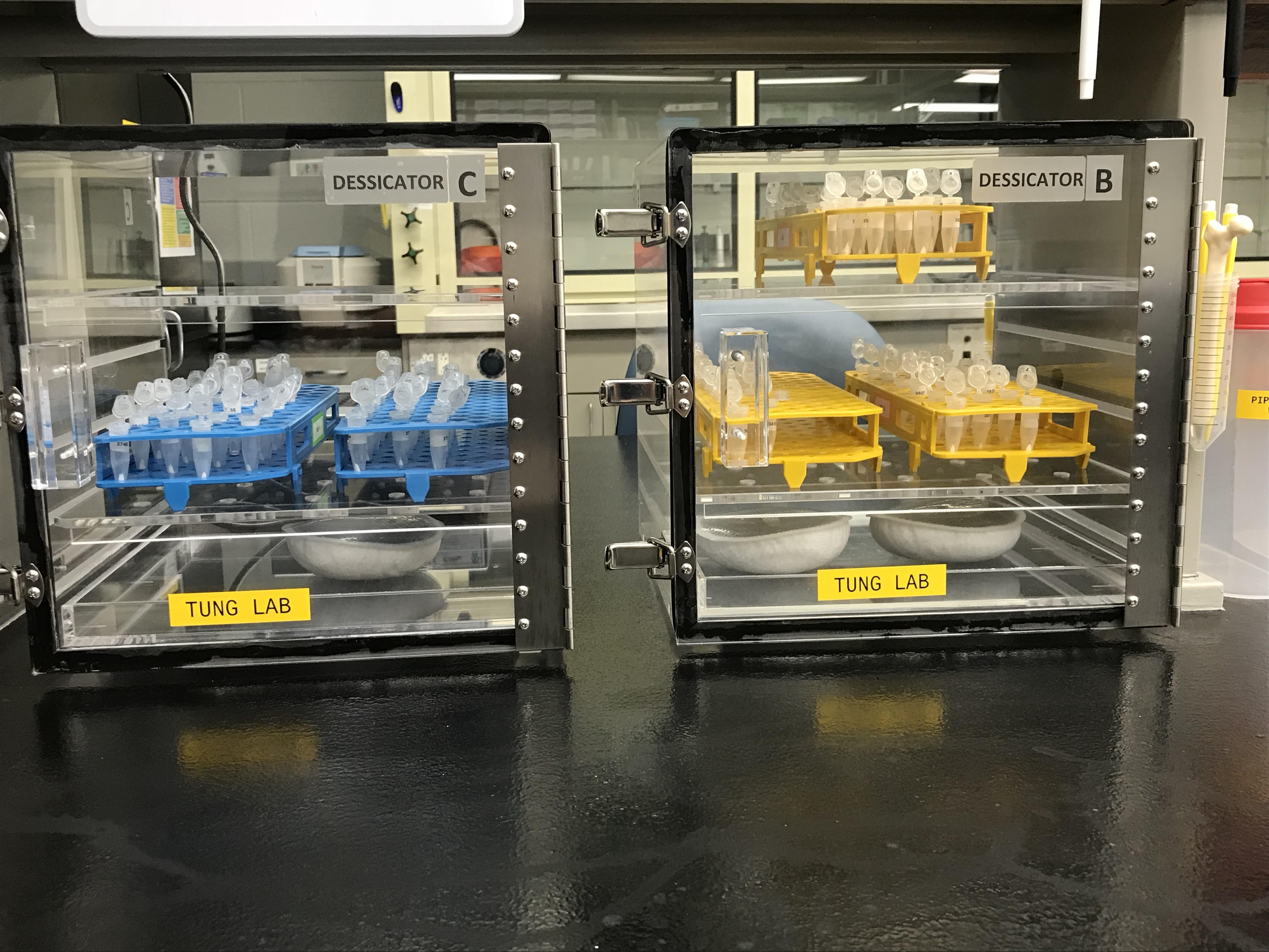 There are two glass boxes. The one on the left (desiccator C) has two blue trays with vials in them and the one on the right (desiccator B) has three yellow trays with vials in them. There is enamel powder in them.