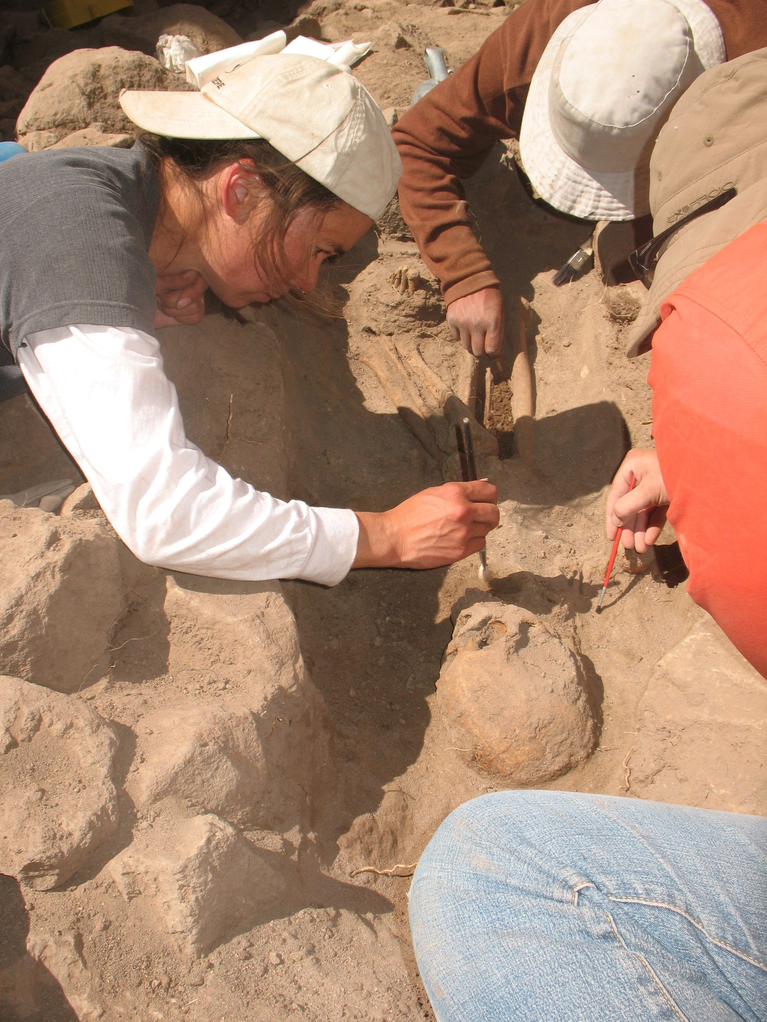 Tiffiny tung with two other researchers are using brushes on a skeleton covered in dirt and surrounded by rocks.