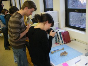Sam and Alyson are looking at two bones laid out a blue piece of padding. Alyson is taking photos with a black camera. Sam is wearing a light brown and dark brown striped sweater. He is also wearing jeans and glasses. He has short brown hair. Alyson is wearing a black shirt. Her brown hair is in a bun.